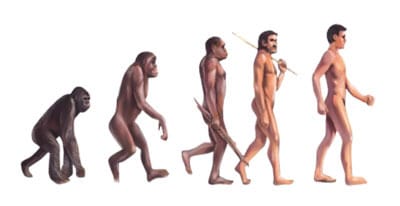 100以上 イラスト 猿人 猿人 進化 イラスト Lasjpblogimg