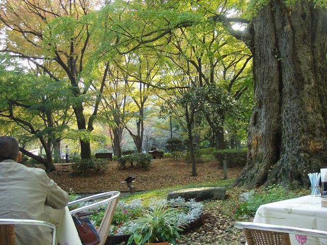 日比谷公園 松本楼の秋 Sunset Cafeへようこそ 日比谷公園 松本楼の秋 Sunset Cafeへようこそ
