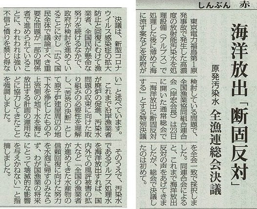 海洋放出 断固反対 原発汚染水 全漁連総会決議 今日の赤旗記事 新版 お魚と山と琵琶湖オオナマズの日々