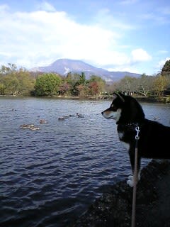 琵琶湖一周の旅・三島池