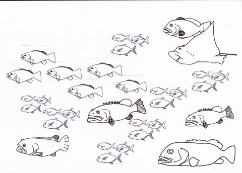 宏二のイラスト魚群 自閉症長男の絵画記録