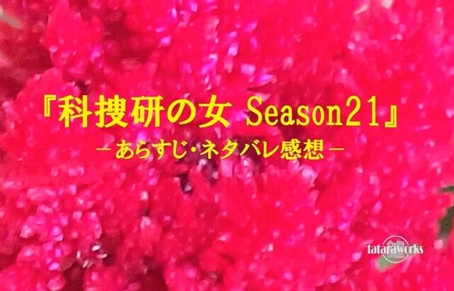 科捜研の女Season21 あらすじ・ネタバレ感想 tataraworks