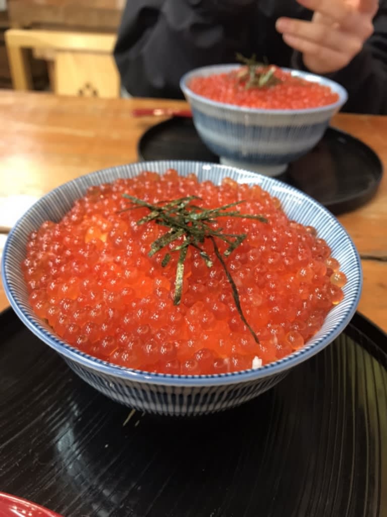 いくら丼55円 春の学生応援フェス 小樽堺町通り商店街 小樽のパパの子育て日記 いくら丼55円 春の学生応援フェス 小樽堺町通り商店街 小樽のパパの子育て日記