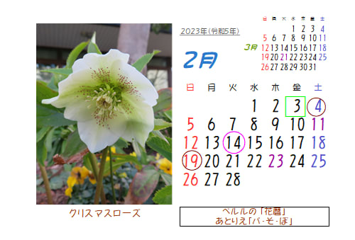 2月の花暦 Goo3