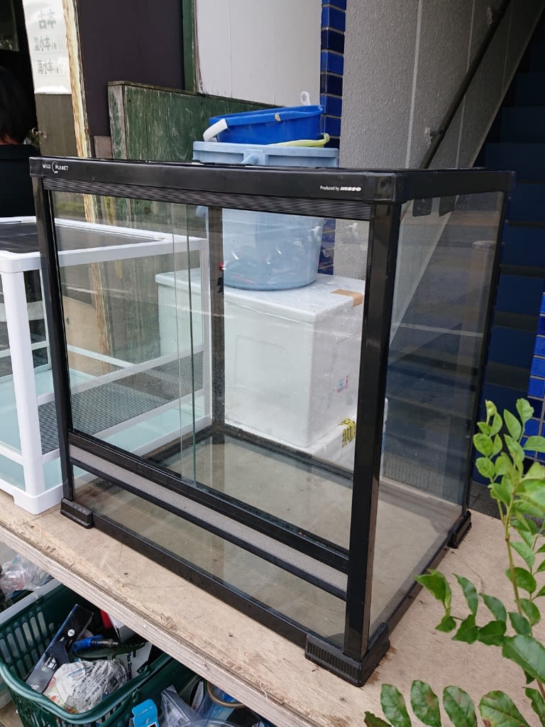 WILD PLANET 飼育ケージ 爬虫類ケージ WILD PLANET