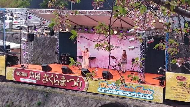 芦屋さくらまつり Masaco Diary 芦屋さくらまつり Masaco Diary