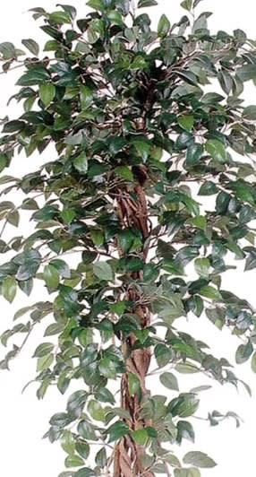 人工観葉植物 樹木 フェイクグリーン 造花