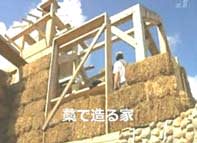 砂の略奪が将来の世界を危うくする Coccolith Earth Watch Report