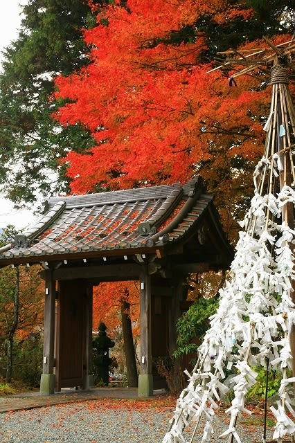 箱根 長安寺の紅葉 Emaのloveカメラ