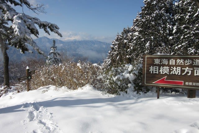 奥高尾　小仏城山　スノーハイク