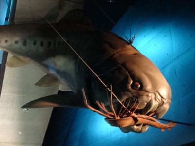 15年9月のブログ記事一覧 じゅりりんのめげずにいくのだ