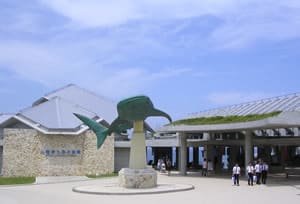 美ら海水族館入り口