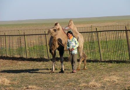 「2004_モンゴル写真集」のブログ記事一覧-人生行路の旅，出会いと別れのソナタ