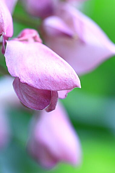 120513f9t 120513f9t