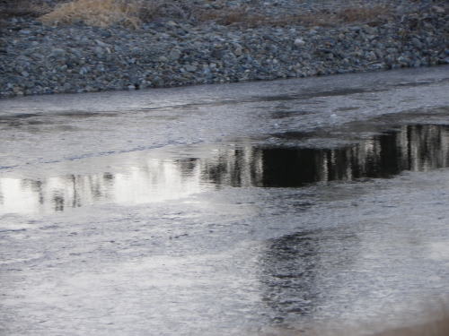 田川の氷