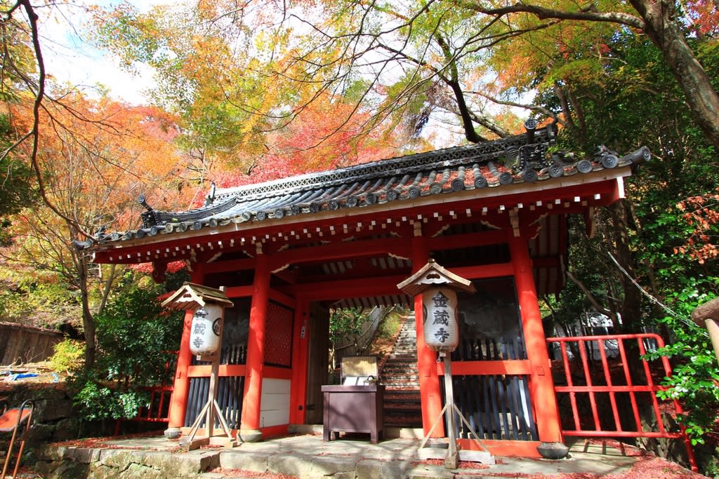 金蔵寺 京都西山の紅葉 京都つれづれなるままに