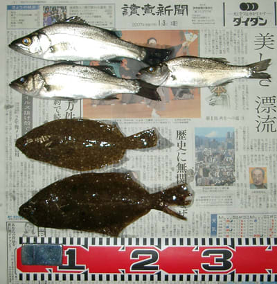H190103b H190103b