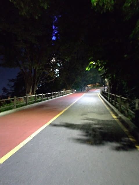 03_17.jpg