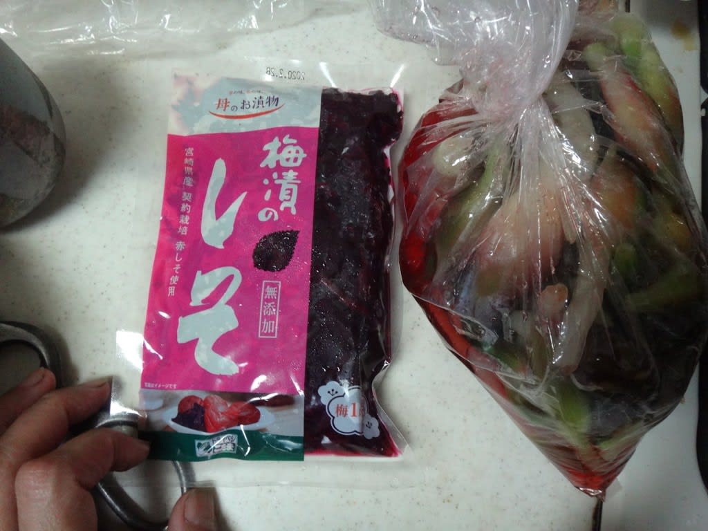 2019/07/28みょうが梅酢漬け みょうが梅酢漬け