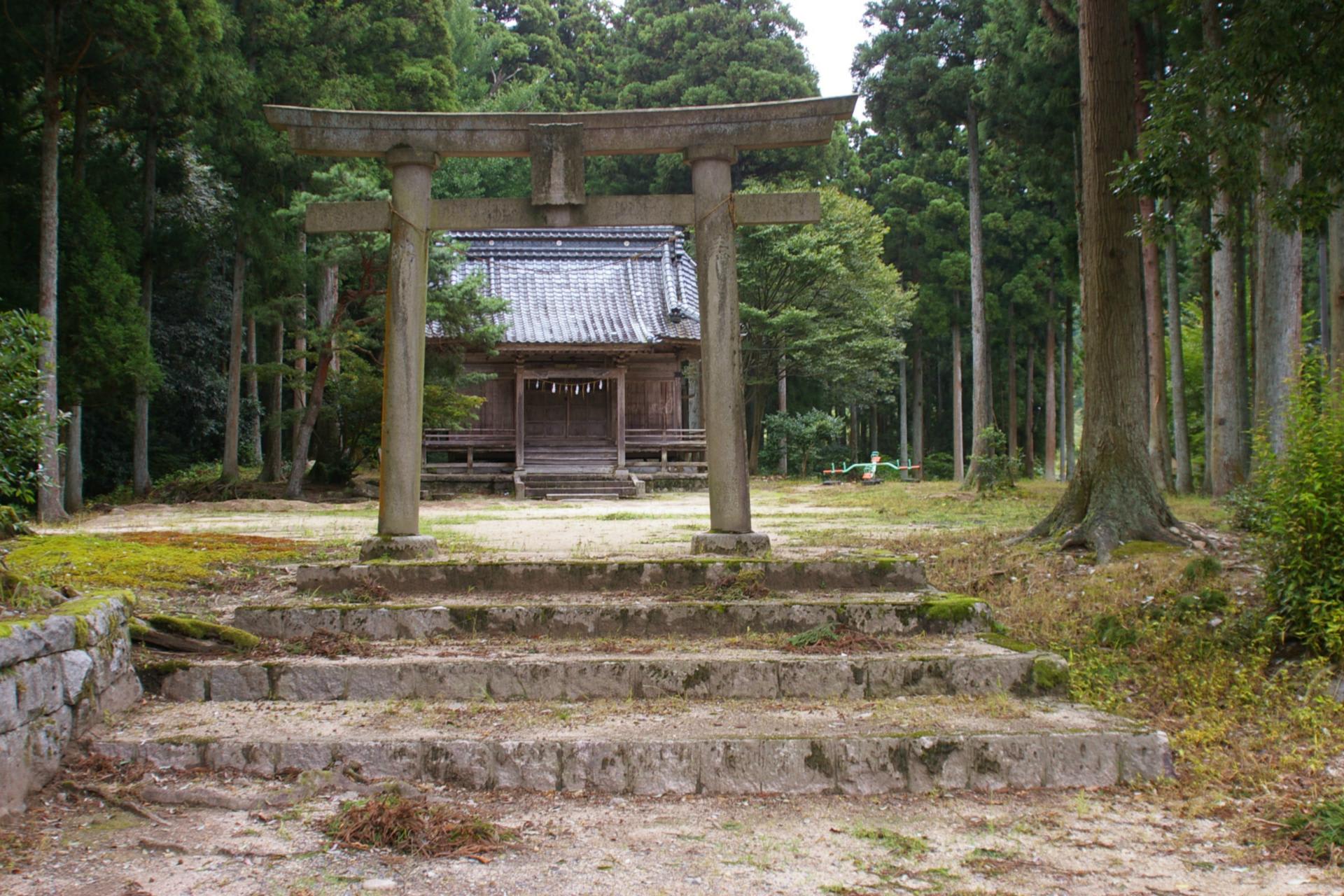 新潟県阿賀野市 八所神社のイチョウです ビーズうさぎのハナちゃんです