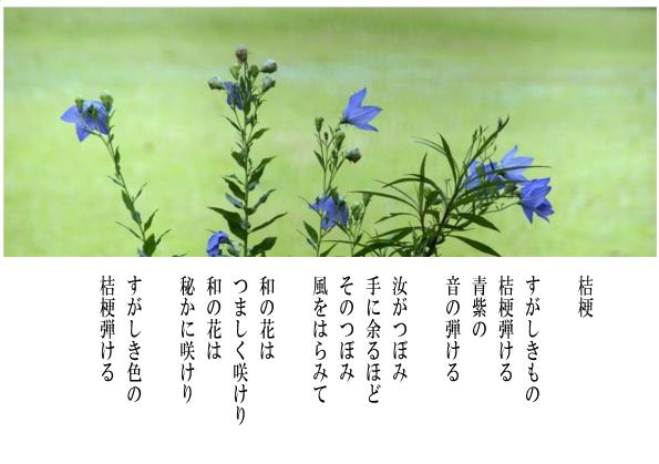 桔梗 詩と短歌集／photo poem 雪割一華（ゆきわりいちげ）