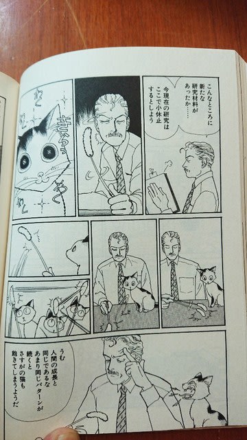 天才 柳沢教授 タマとの生活 完全版 山下和美 マンガの中のネコ探し ひのはらねこまんがミュージアム