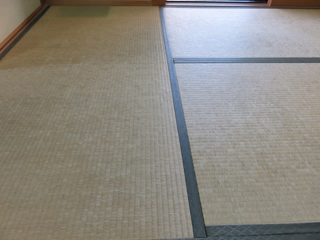 新しい畳の色はかなり緑色 大阪人の生活