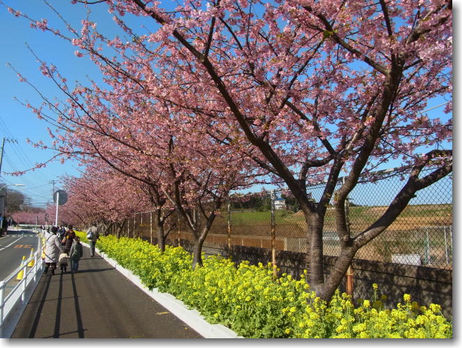 この右側が京急の線路