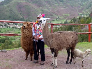 ペルー旅行 クスコ 日々の暮らしとyogaと