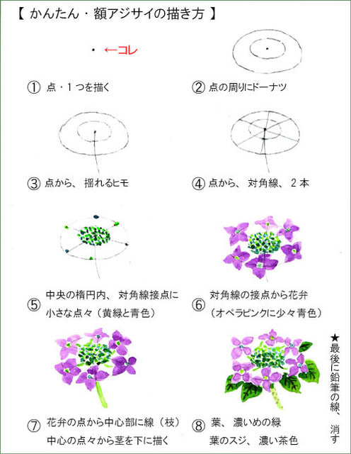 簡単 額アジサイの描き方 おさんぽスケッチ にじいろアトリエ 水彩 色鉛筆イラスト スケッチ