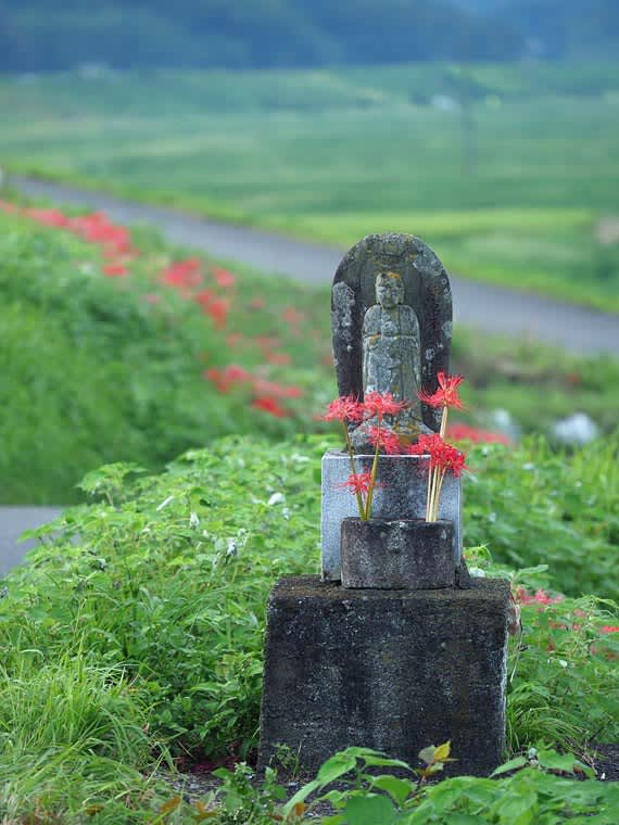 お地蔵様 地蔵様と彼岸花