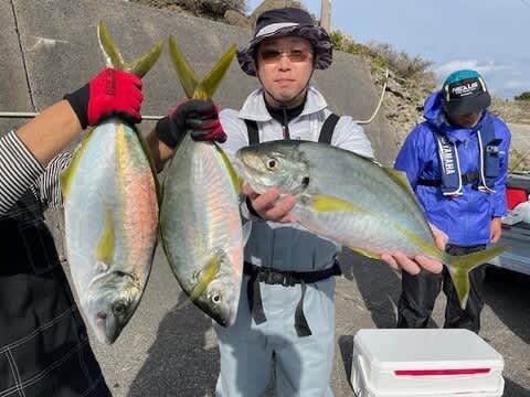 船釣り用ハリス8号が12個6号が9個 船釣り用ハリス8号が12個6号が9個