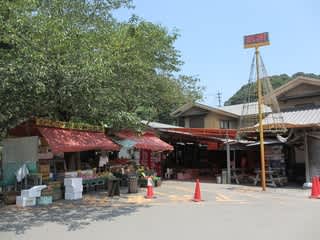 花野温泉 たぬき湯 温泉逍遥