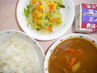 カレーライス キャベツとみかんのサラダ 給食 大すき カレーライス キャベツとみかんのサラダ 給食 大すき