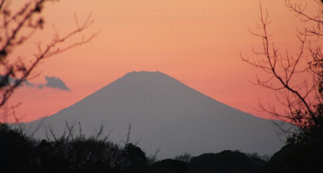 3/23の富士山