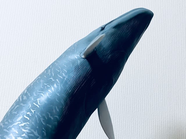 海洋堂 MA-004 シロナガスクジラ メガソフビアドバンス - その他