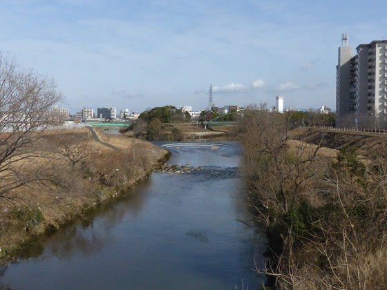 天白川を散歩する 気の向くままにつぶやけば