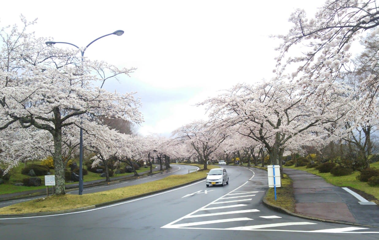 母の一周忌で静岡の富士桜自然墓地公園へ 大好きなクロスステッチと共に