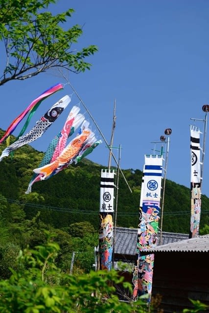 今日は端午の節句 鯉のぼりの写真をお送りします 後藤和弘のブログ 今日は端午の節句 鯉のぼりの写真をお送りします 後藤和弘のブログ