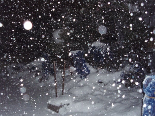 風雪