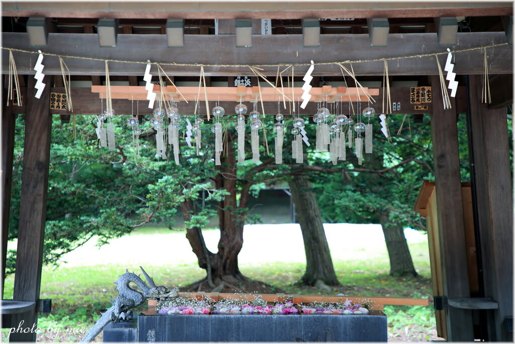 帯広市 帯廣神社の花手水 カフェ 日和