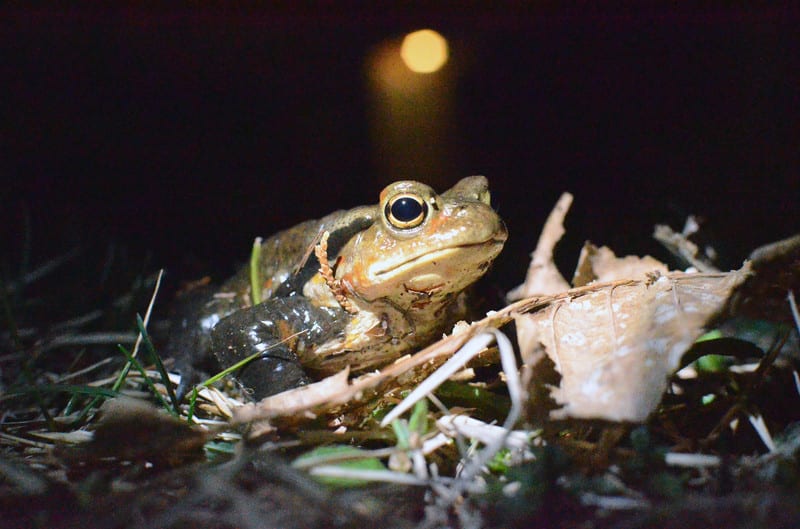 Dsc_7064 Dsc_7064