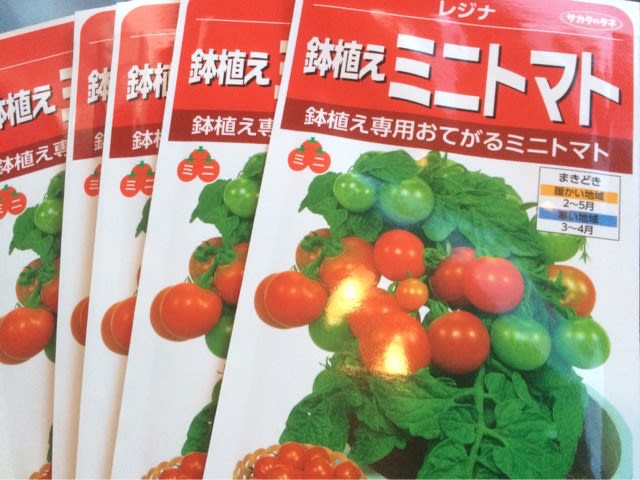 トマトの種 食育 体験レストラン栗の里相模原インター店 笹生農園 の自作水耕日記