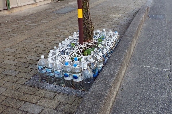 猫除けのペットボトル Miracle Nature 奄美大島の自然 猫除けのペットボトル Miracle Nature 奄美大島の自然