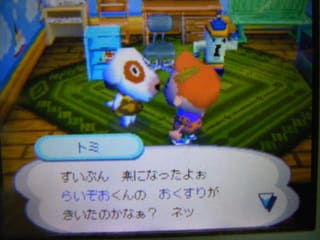 どうぶつの森の新住人 きんちゃんの観劇記 ネタバレだよ どうぶつの森の新住人 きんちゃんの観劇記 ネタバレだよ