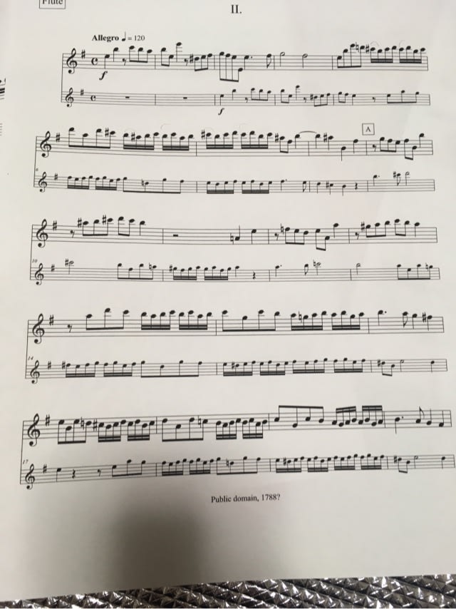 テレマンのリコーダーとフルートのための協奏曲 - 音楽の喜び フルート 