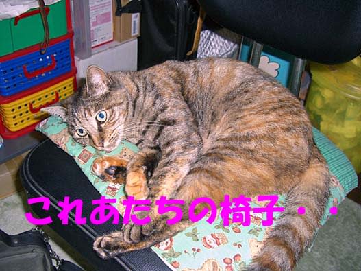 イメージ 2