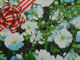 白花かすみ草とタネツケバナ 惑い星に花と緑
