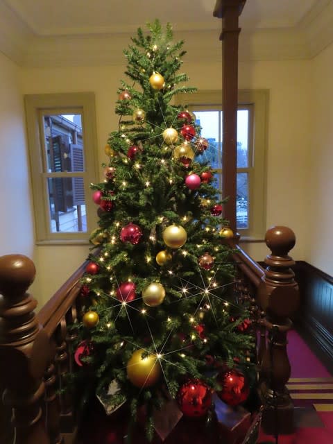 港町神戸で見たクリスマスツリー