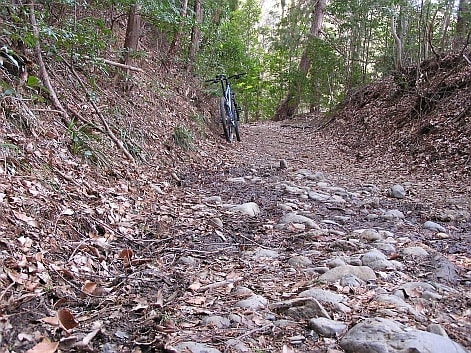 ＭＴＢ　トレイルライド